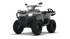 Sportsman 570 EFI EPS - Vihreä / Harmaa (T3b)