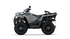 Sportsman 570 EFI EPS - Vihreä / Harmaa (T3b)