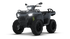 Sportsman 570 EFI EPS Deluxe - Mattaharmaa (T3b)
