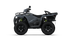 Sportsman 570 EFI EPS Deluxe - Mattaharmaa (T3b)