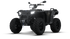 Sportsman XP 1000 S 40TH EDITION - Super Graphite (T3b)