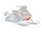 AXYS Ultimate Skid Plate, Orange
