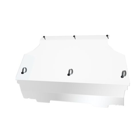 Poly Rear Panel (RZR 200 EFI)
