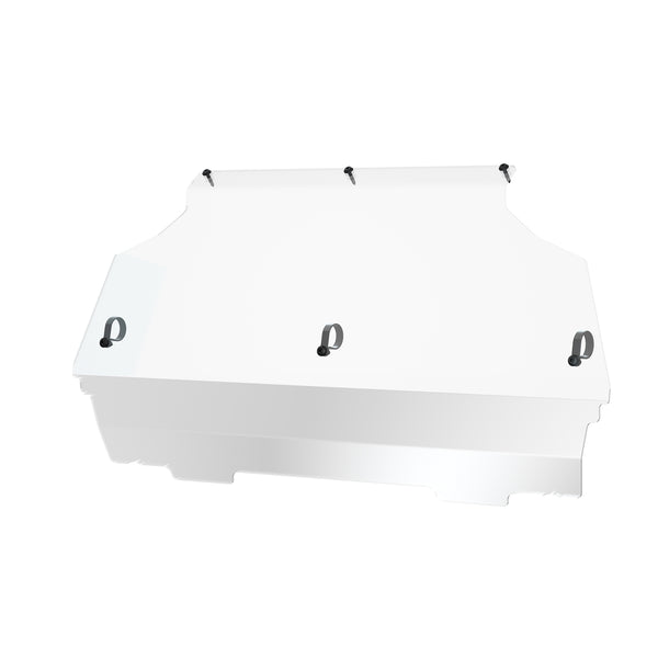 Poly Rear Panel (RZR 200 EFI)